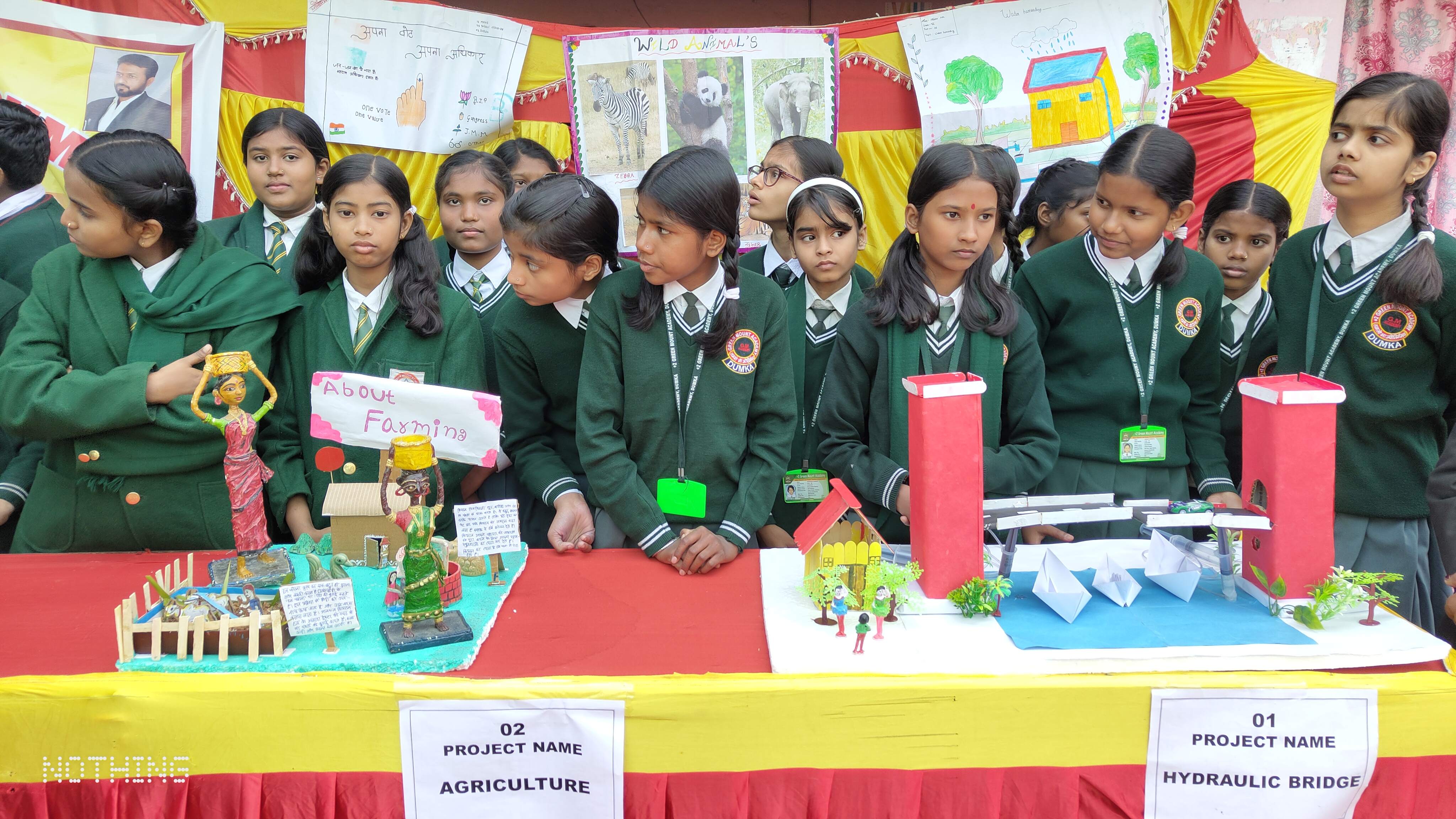 Green Mount Academy Science Exhibition 5